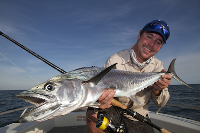 Catch Mackerel with Anglers Choice Fishing Safaris